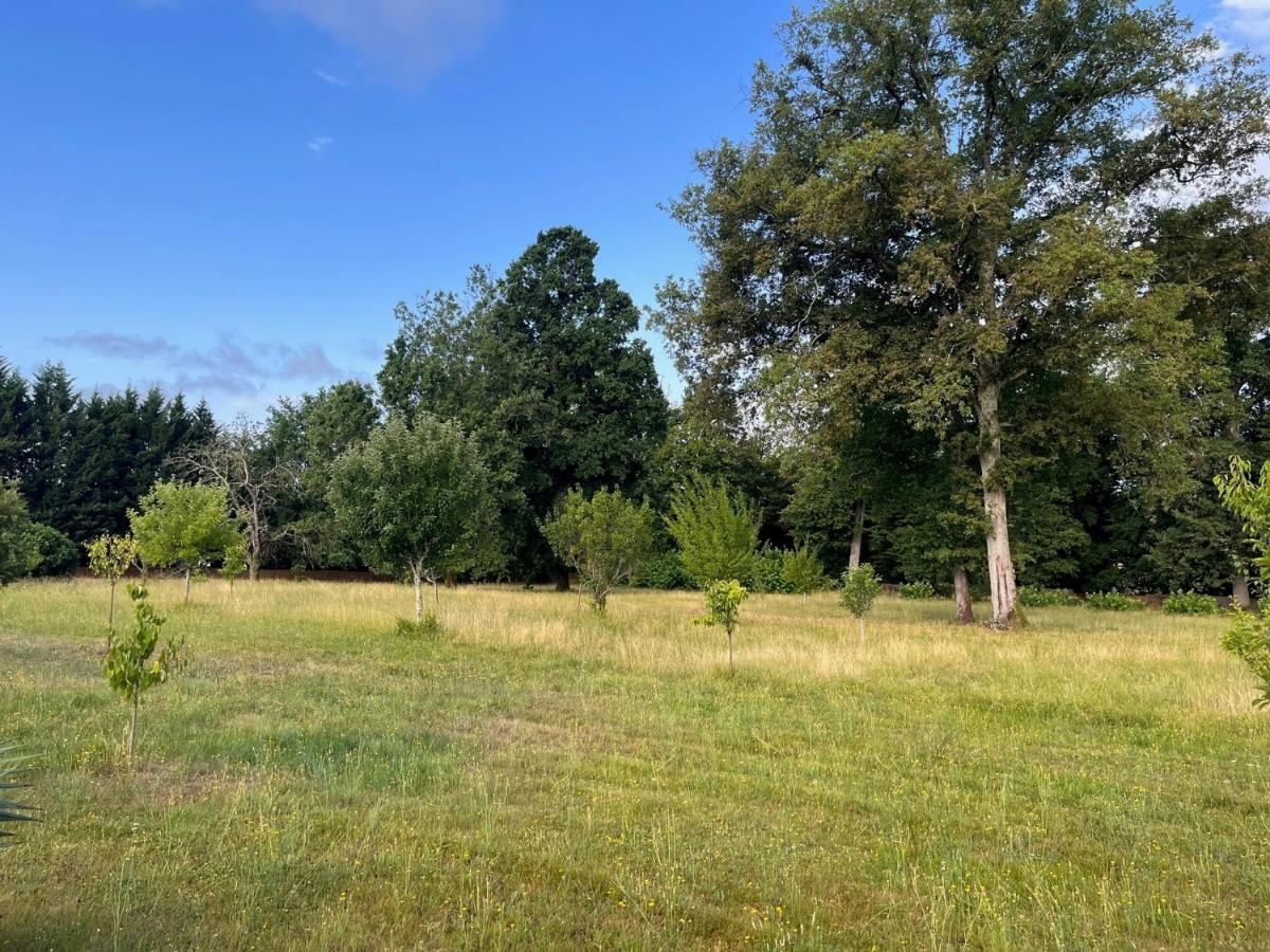 Ancien Chai Rénové Dans Un Parc Clos De 3 Hectares Hébergement de vacances *